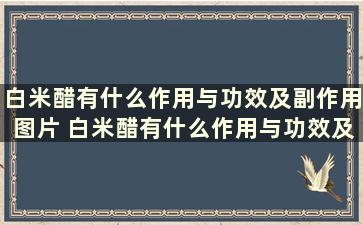 白米醋有什么作用与功效及副作用图片 白米醋有什么作用与功效及副作用呢